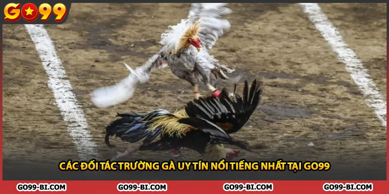 Các đối tác trường gà uy tín nổi tiếng nhất tại GO99