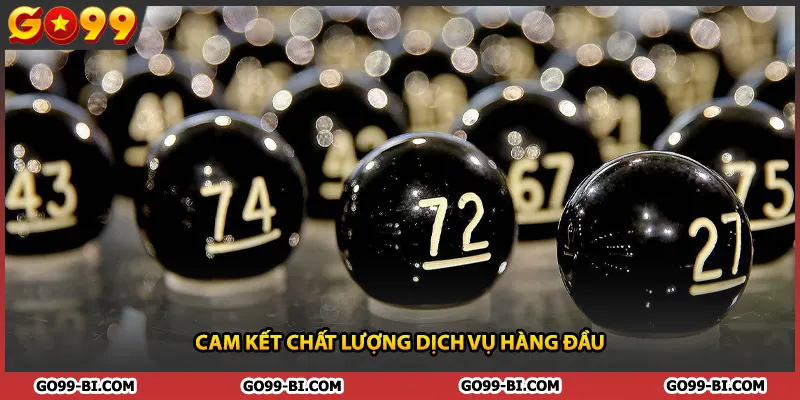 Cam kết chất lượng dịch vụ hàng đầu