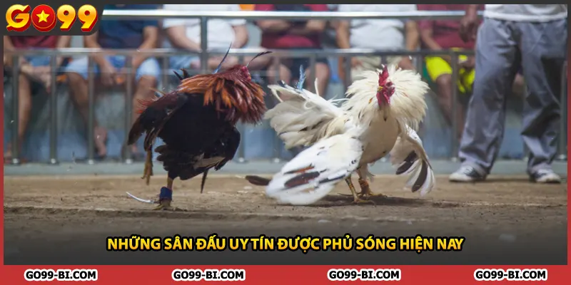 Những sân đấu uy tín được phủ sóng hiện nay
