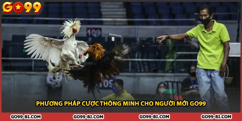 Phương pháp cược thông minh cho người mới GO99