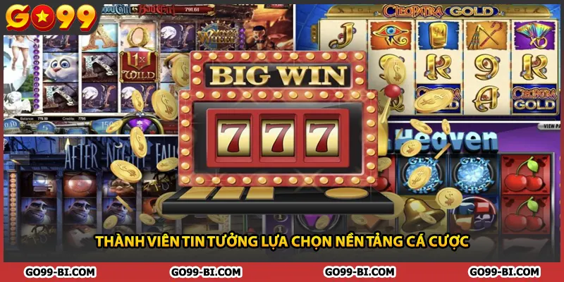 Thành viên tin tưởng lựa chọn nền tảng cá cược